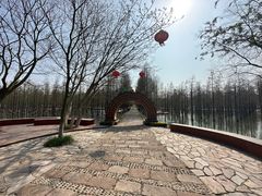 -泗洪洪泽湖湿地景区