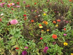 -白塘生态植物园