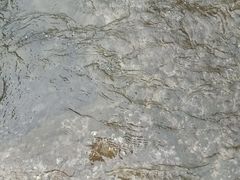 -红峡谷