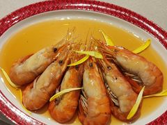 -圆苑(静安寺店)