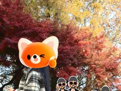 -焦山景区-万佛塔