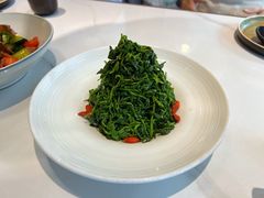 红果枸杞苗-清真·宁夏印象·盐池滩羊肉体验店(江宁路店)