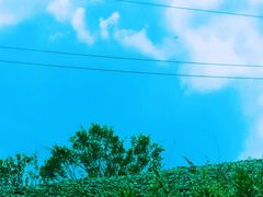 -抚顺中伟假日国际酒店