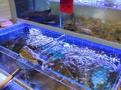 -金海湾海鲜排档(朱家尖店)