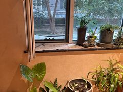 -畅和茶坊·曦瓜中国大红袍