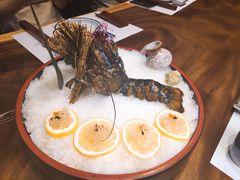 -石葵(锦业时代店)