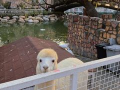 -金庭庄园酒店-停车场