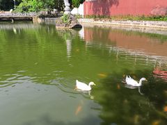 -崆峒岩风景区