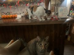 -大象厨房(重庆道店)