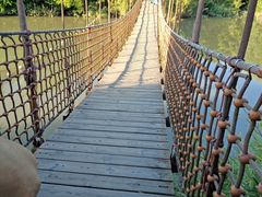 -吴淞炮台湾湿地森林公园烧烤区