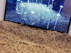 -现代汽车文化中心 Hyundai Motorstudio Beijing