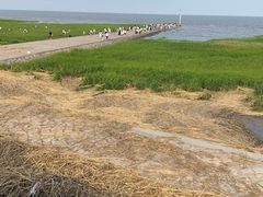 -南汇嘴观海公园