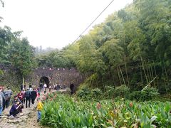 -仙霞关景区