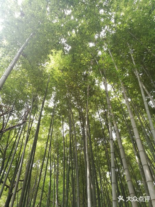 虞山风景区图片