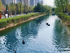 -长白岛森林公园