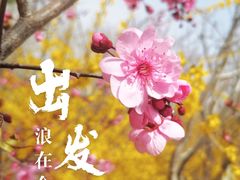 -佛慧山