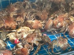 -宾朋海鲜特色美食餐厅·纯手工鲅鱼水饺(兴海路店)