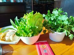 -老诚一锅羊蝎子(黄寺大街店)