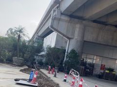 -三圣花乡旅游区