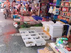 -清平路水族市场