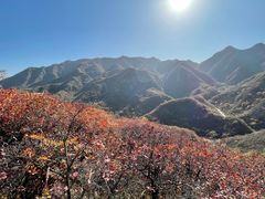 -水峪民俗村