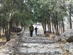 -阳台山自然风景区