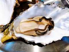 -蚝堡海鲜·威海菜·海肠捞饭·烧烤·亚洲吃蚝公司(幸福门店)