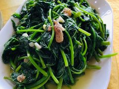 -鲤鱼塘农家山庄