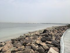-吴淞炮台湾湿地森林公园烧烤区