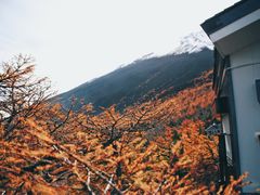 -富士山吉田線五合目