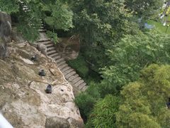 -鼓浪屿·皓月园