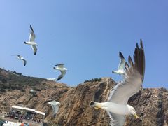 -海驴岛(荣成市)