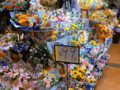 -双季花艺园艺市场(浦东店)