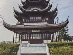 -上海海湾国家森林公园