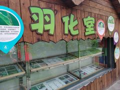 -南宫五洲植物乐园