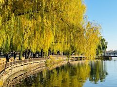 -长春市南湖公园