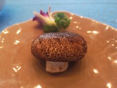 -老淳安—伴山伴湖(千岛湖开元度假村店)