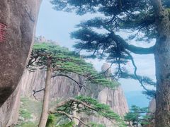 -黄山风景区