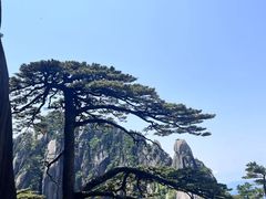 -黄山白云宾馆