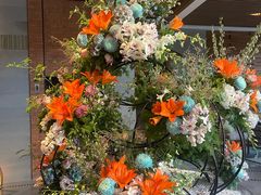 -浅深Cheersum(曹杨店)