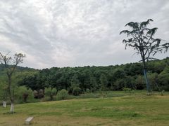 -南京市无想山景区