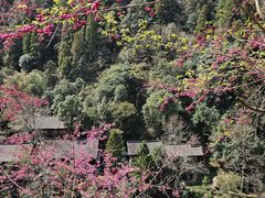 -刘伯温故里景区百丈漈