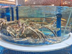 -皮记海鲜1995(寮步店)