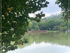 -番禺大夫山森林公园