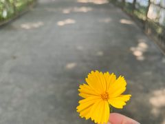 -阳澄湖费尔蒙酒店颐丰阁中餐厅(马鞍山西路店)