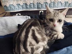 -宠颐生中康贝怡动物医院