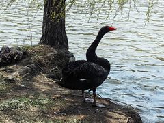 -华东政法大学(松江校区)