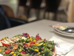 -百好乐宠物友好餐厅(朝外大街店)