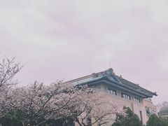 -武汉大学-樱园