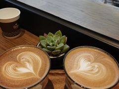 澳洲小白-Peet's Coffee皮爷咖啡(大学路店)